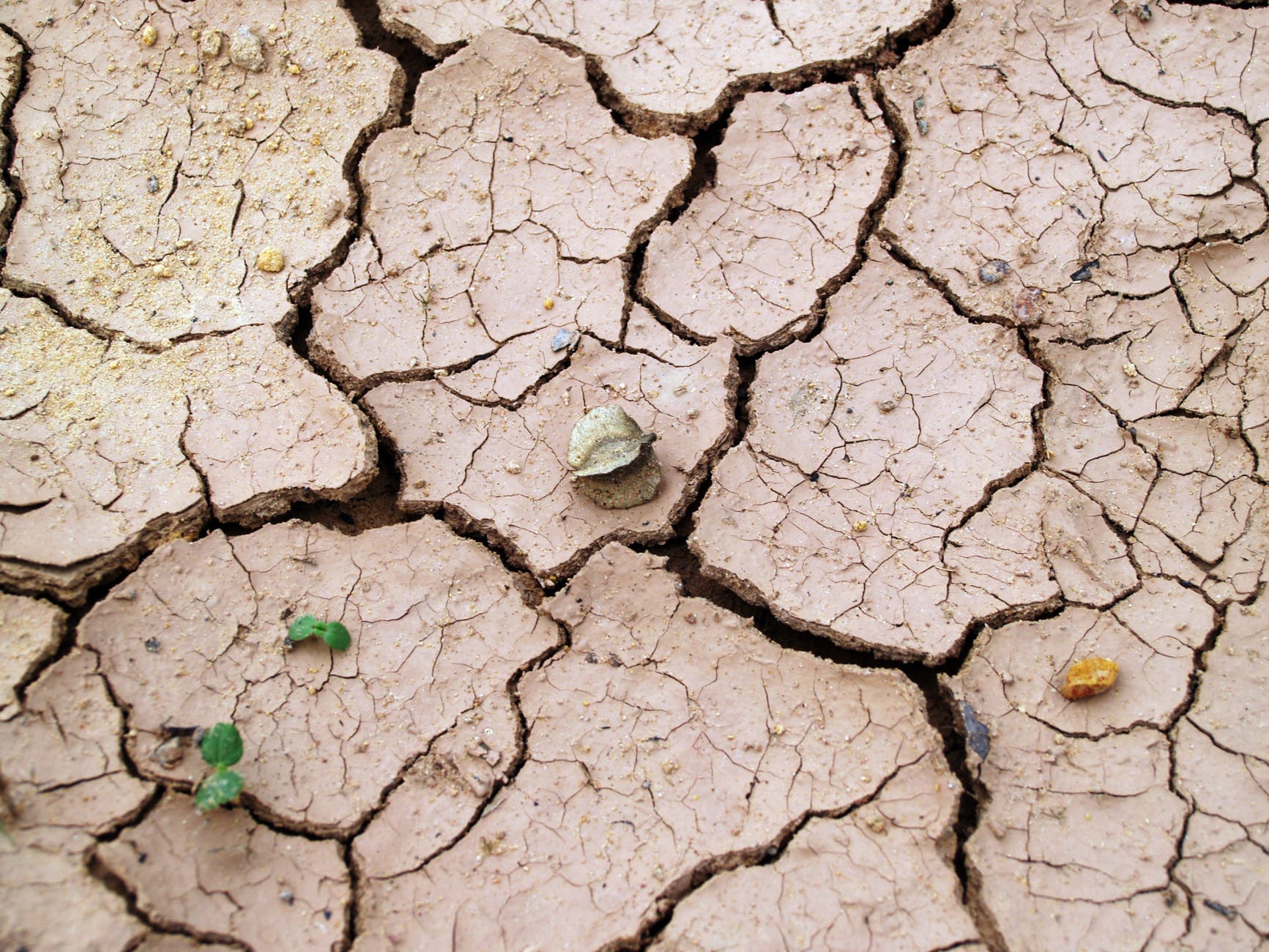 Crisis climática en Vilanova: olas de calor, falta de agua, incendios, riadas, plagas de bichos…