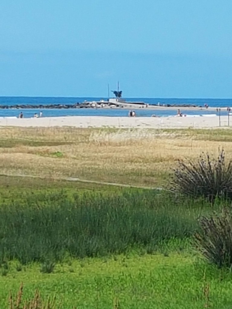 Vilanova i la Geltrú abre la temporada de playa 2021: novedades, perros, zonas prohibidas…