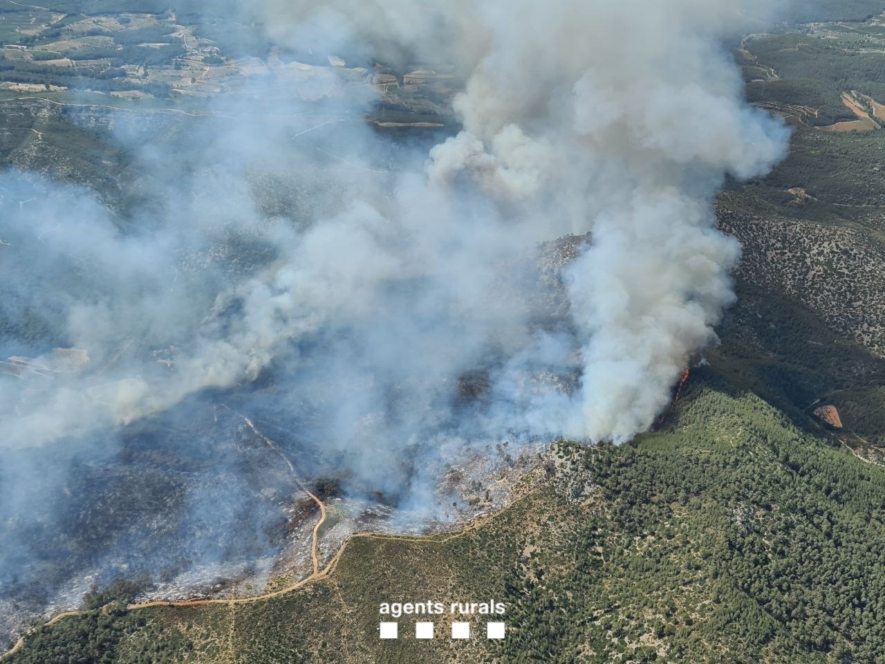 Detenido en Vilanova I la Geltrú el presunto pirómano de los incendios forestales de Olivella y Sant Pere de Ribes