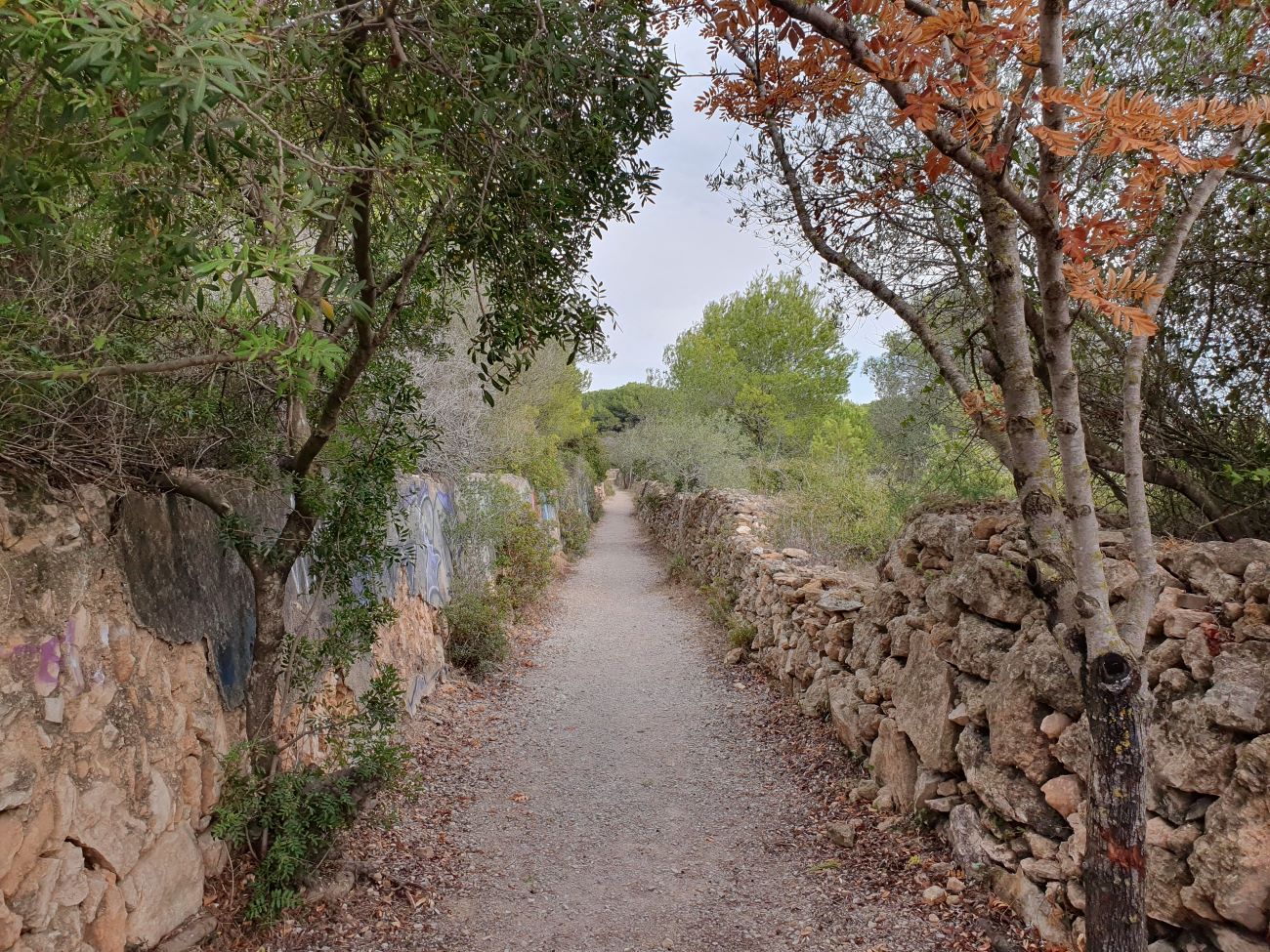 L’Ortoll, el pulmó verd de Vilanova, es podria salvar parcialment de les excavadores