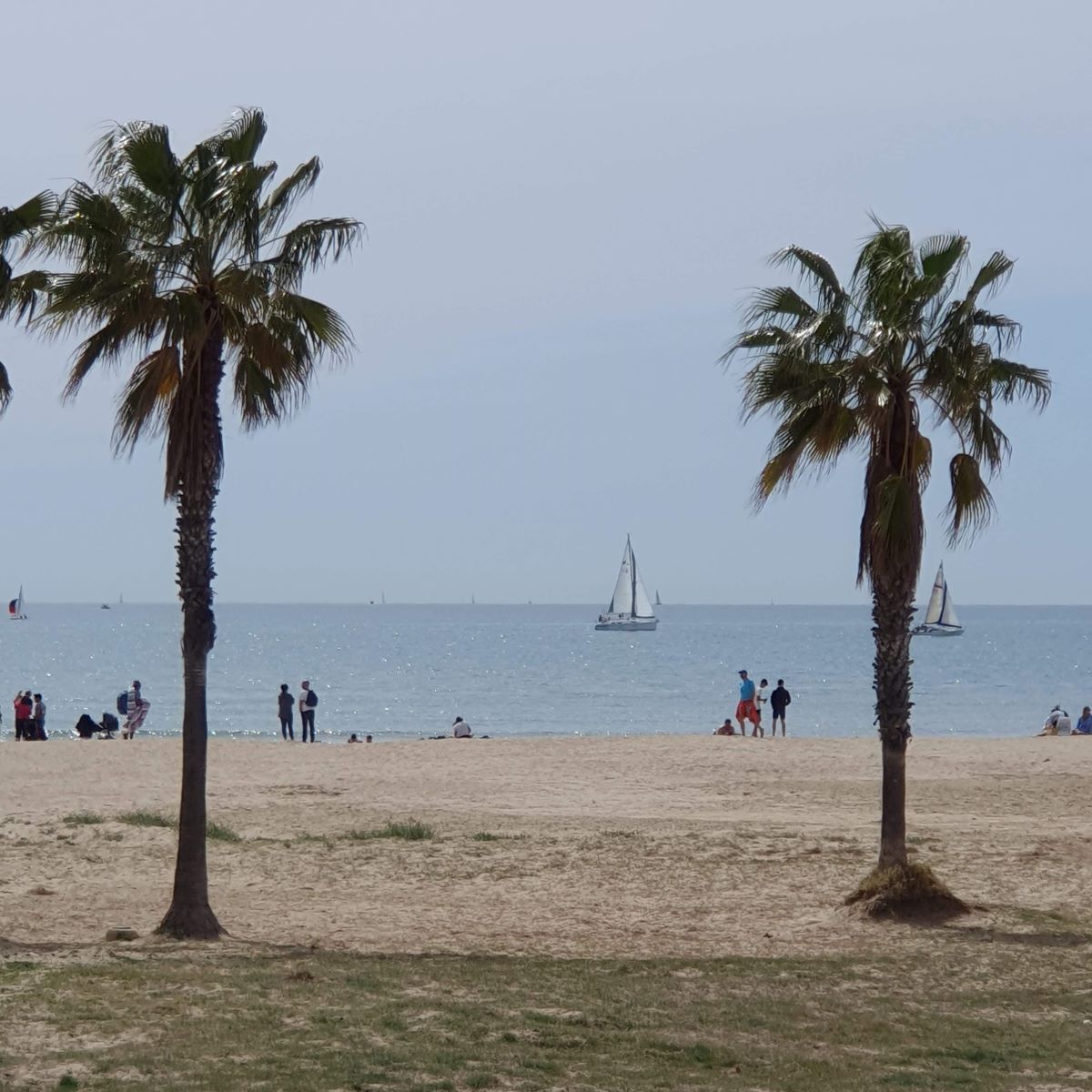 Cinco playas de Vilanova obtienen la Bandera Azul en 2023